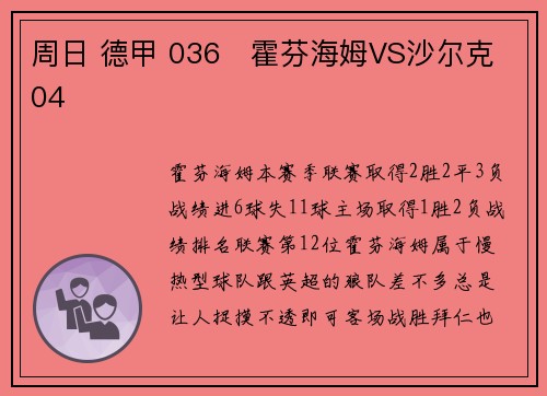 周日 德甲 036   霍芬海姆VS沙尔克04
