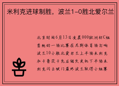 米利克进球制胜，波兰1-0胜北爱尔兰